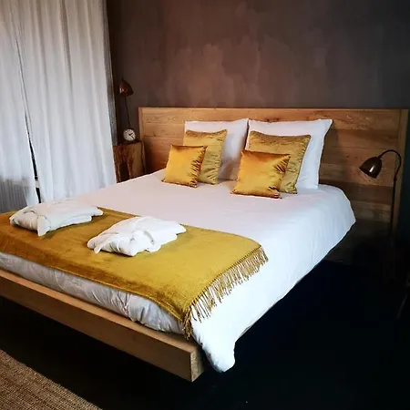 Casa Leone Near Bruges With Jacuzzi & Parking Bed & Breakfast Ruddervoorde